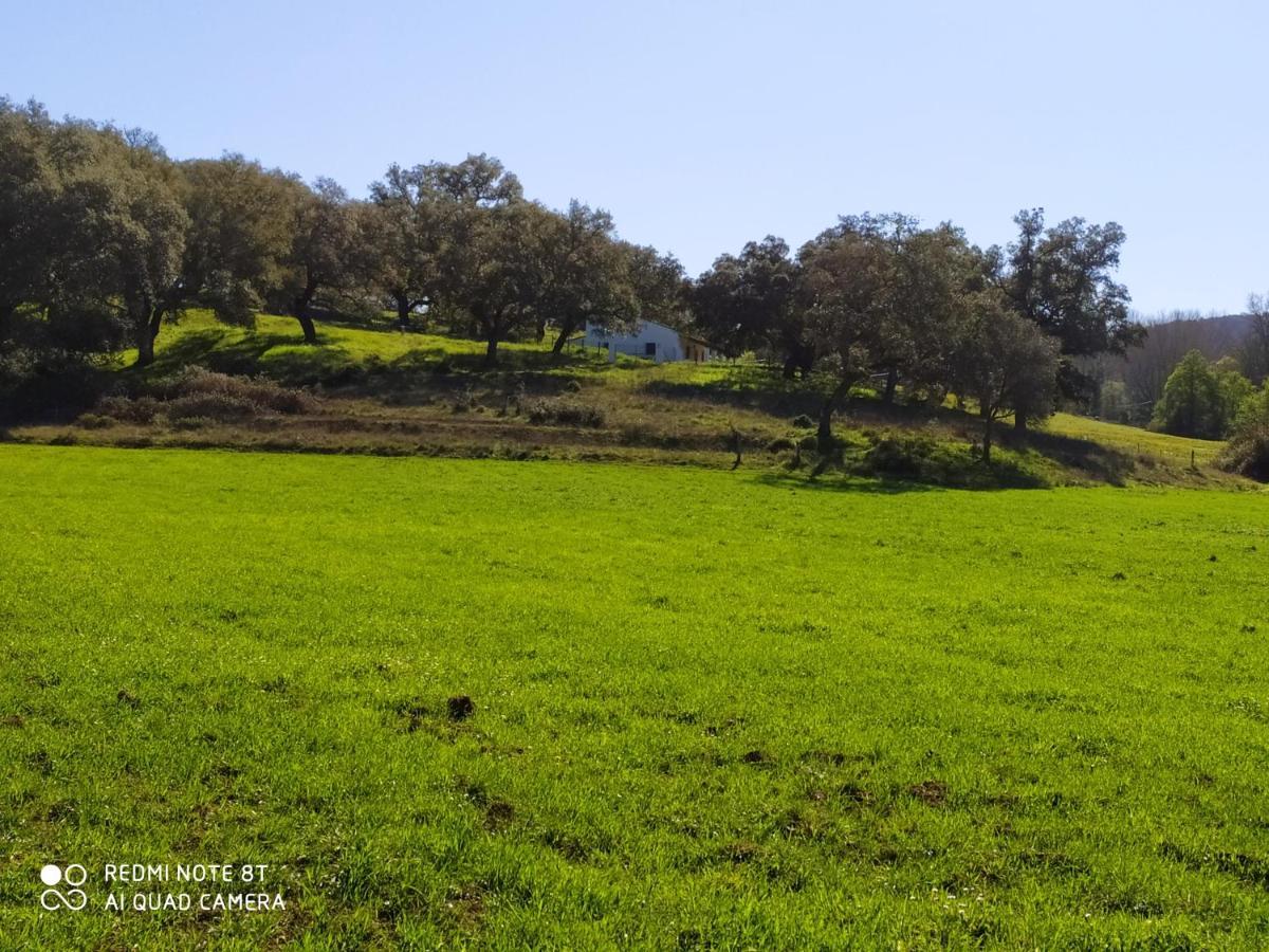 Country house Cercado Forero